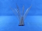 Preview: Pigeon spike SAFA PS 04-32, 4-row, 50 cm long, made of stainless steel